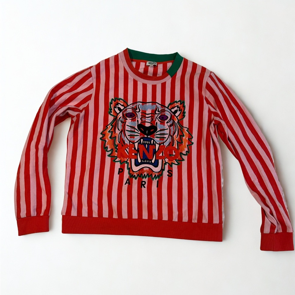 Red Striped Sweater with Tiger Design
